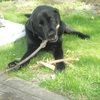 breck_117